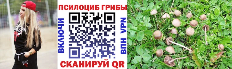 Галлюциногенные грибы MAGIC MUSHROOMS Кирс