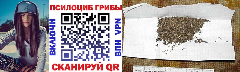 Псилоцибиновые грибы прущие грибы  наркошоп  Кирс 